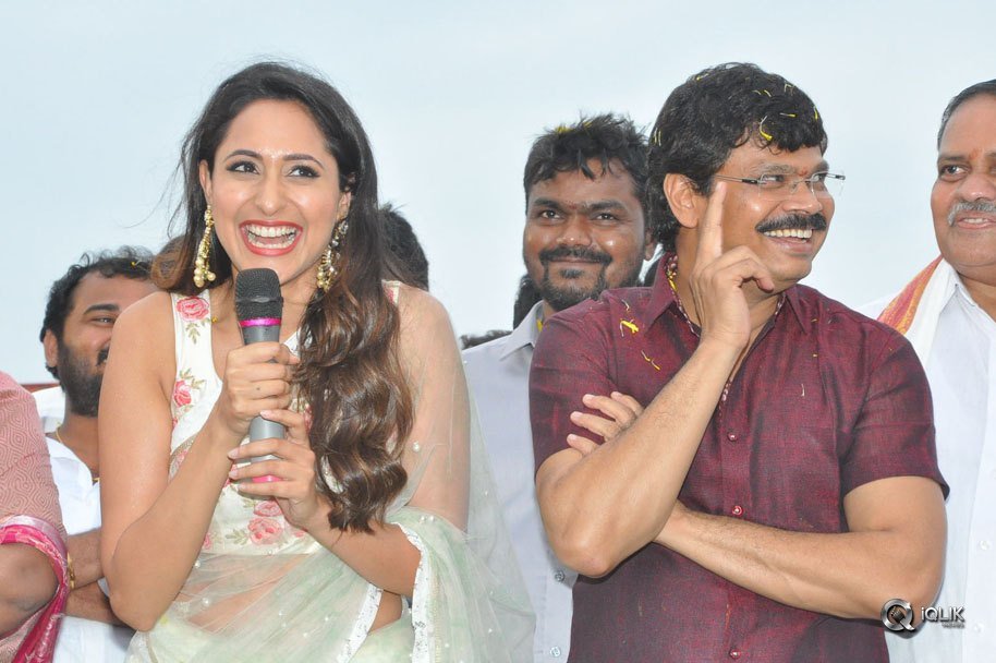 Jaya-Janaki-Nayaka-Movie-Vijayotsava-Veduka-At-Hamsala-Deevi